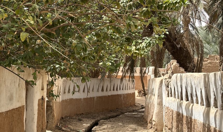Unearthing the Foggara: Water in the Desert