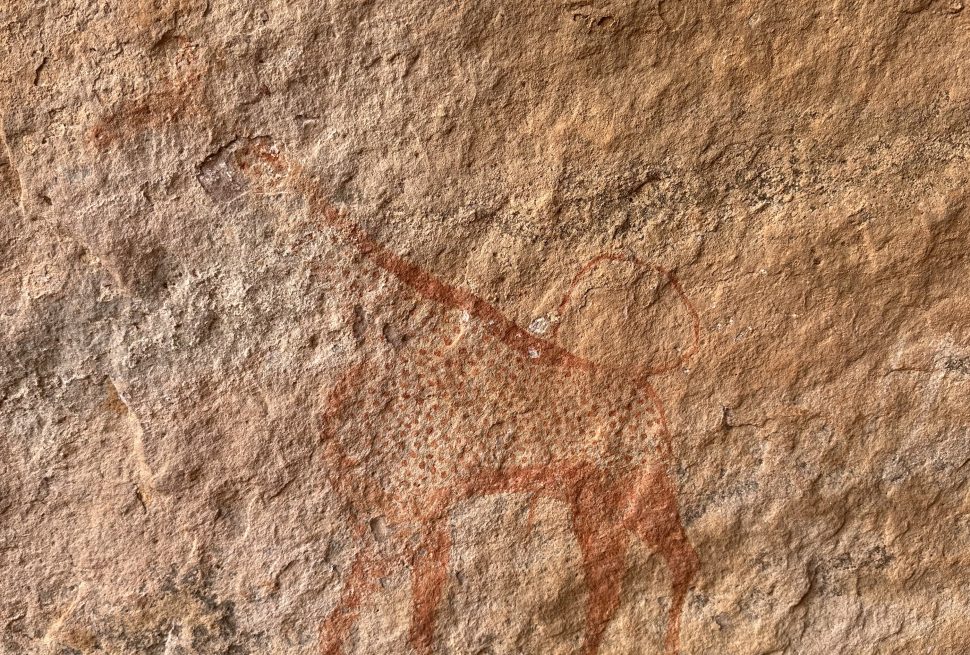 Prehistoric drawings