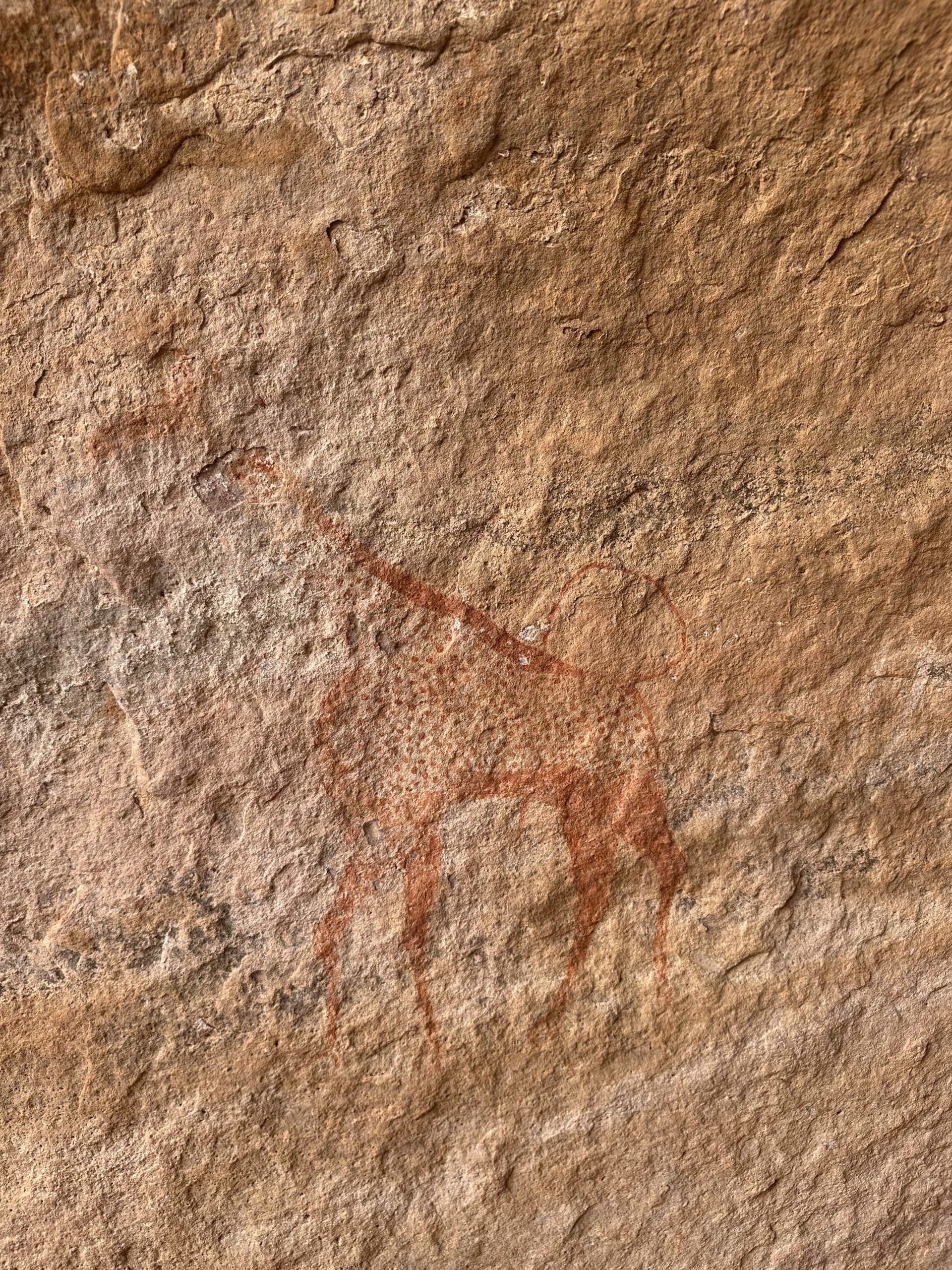 Prehistoric drawings